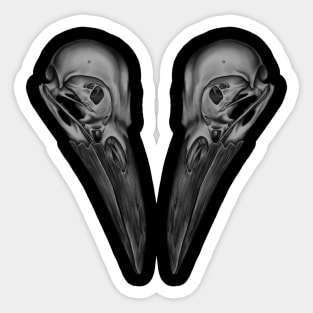 Crow Skulls B&W Sticker